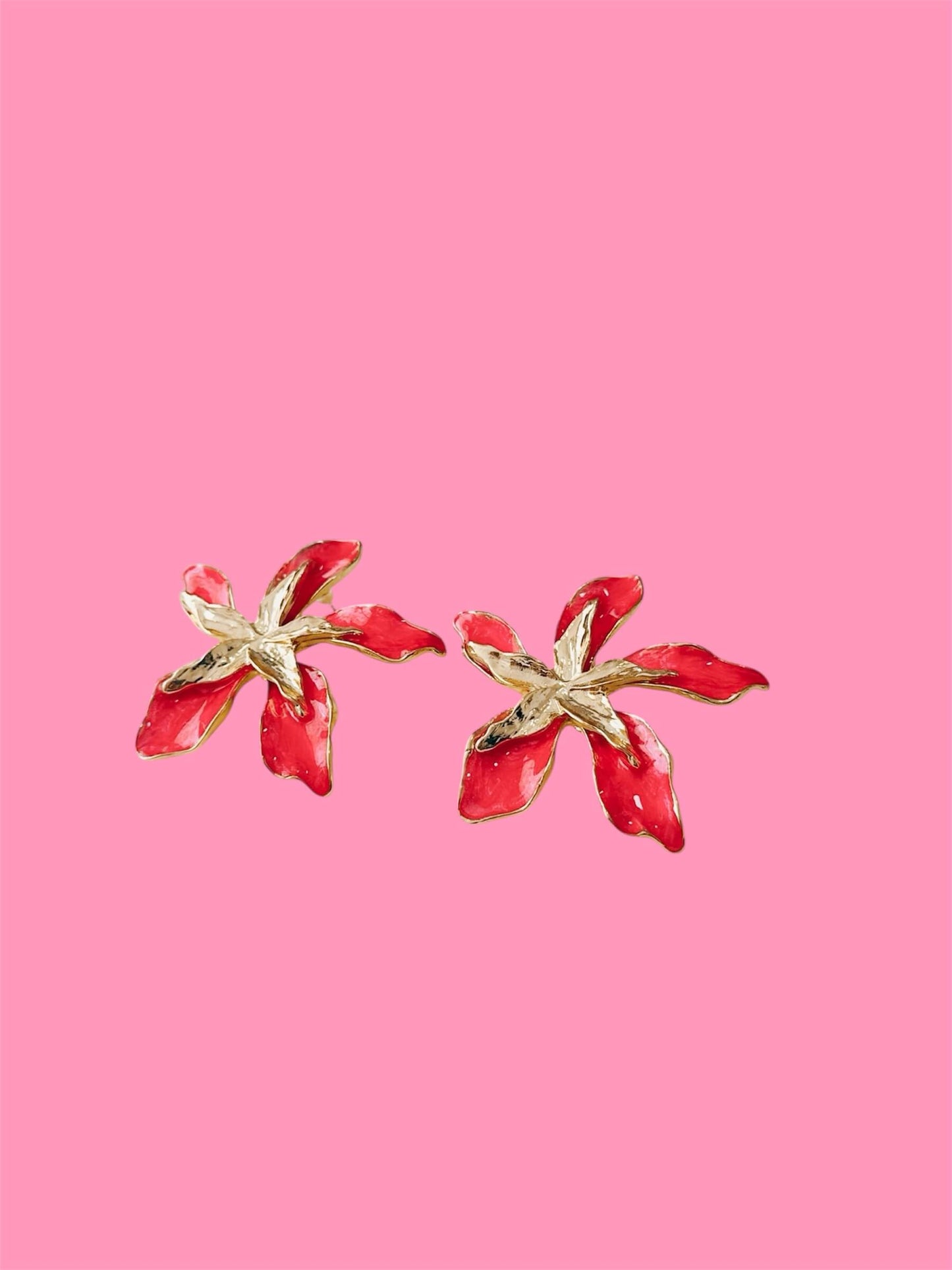Lily Star