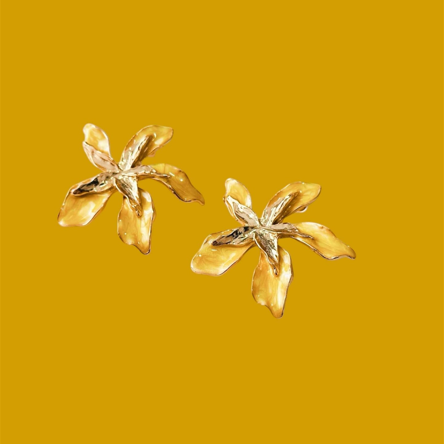 Lily Star