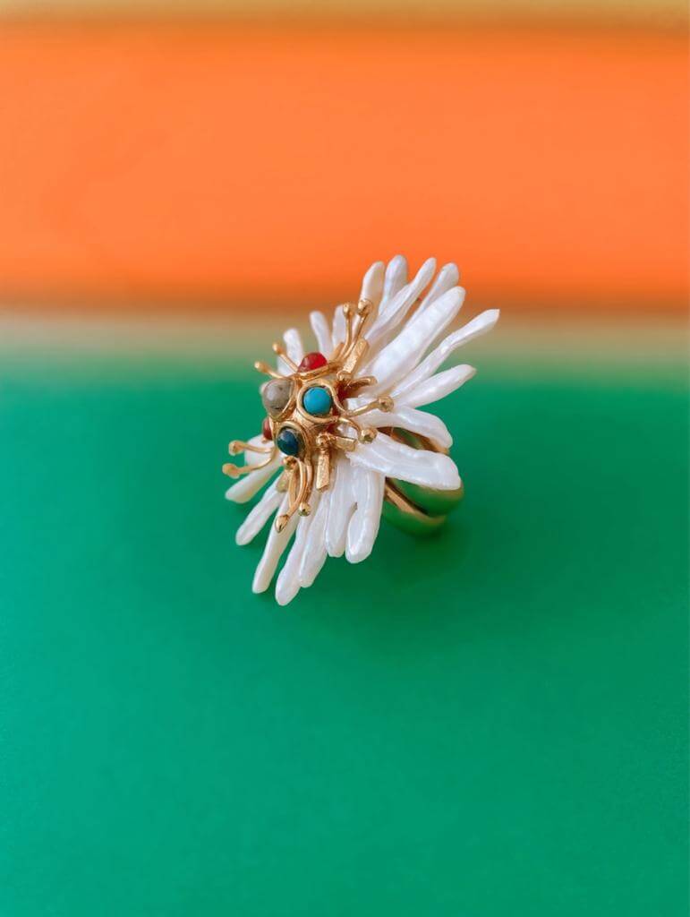 Anillo Bursa