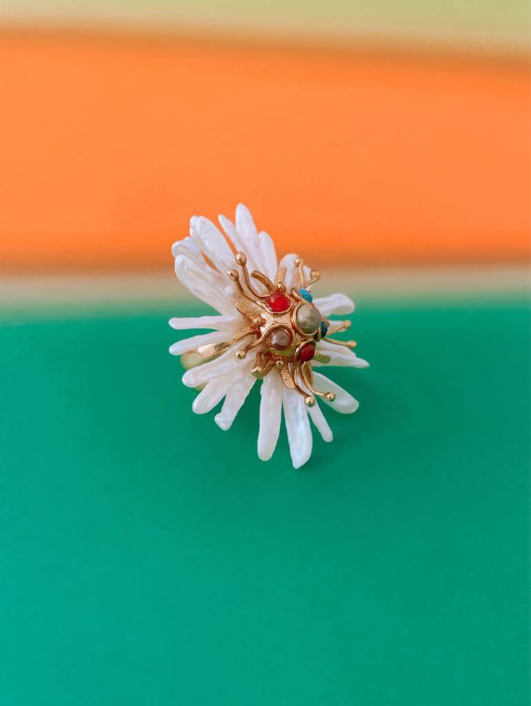 Anillo Bursa