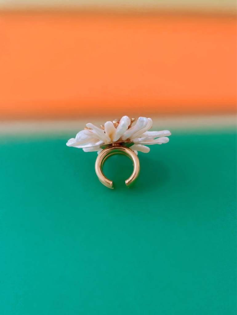 Anillo Bursa