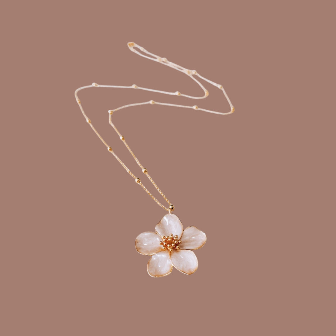 Wild Bloom