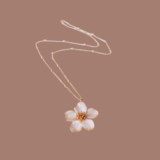 Wild Bloom
