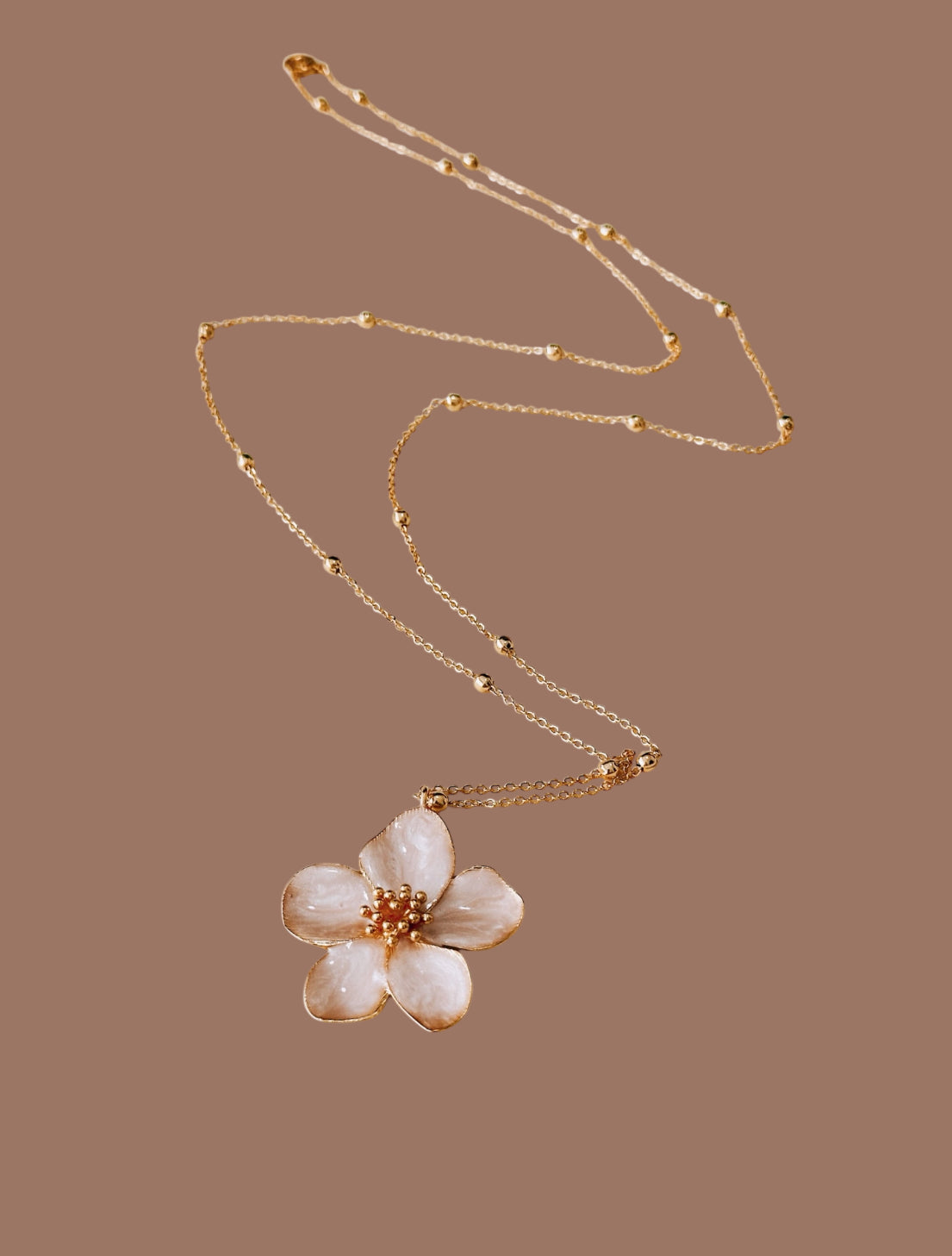 Wild Bloom