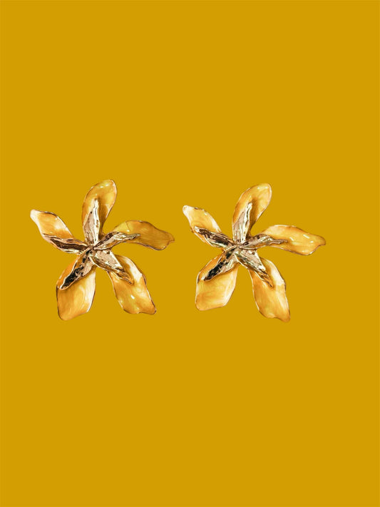 Lily Star